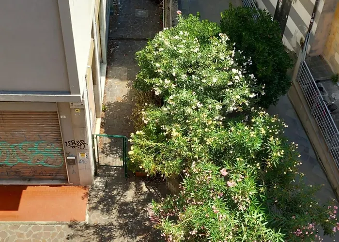Poetry 5 Terre Bernardino 1 Apartamento